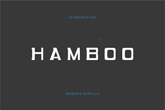 Hambo: A Clean Sans Serif Font That Elevates Real Business Branding