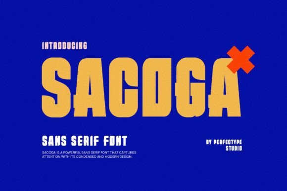 Sacoga: A Refined Sans Serif with Quiet Confidence