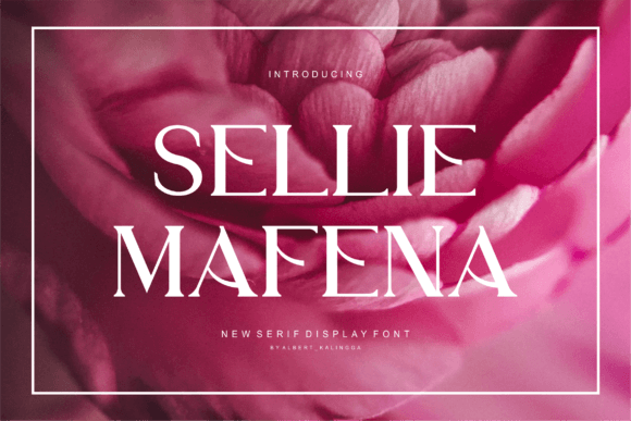 Sellie Mafena: A Bold Serif Font for Confident Digital Branding
