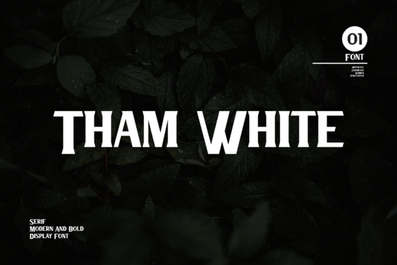 Tham White: A Bold, Sophisticated Serif Font for Small Business Branding